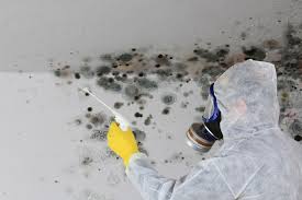 Best Industrial Mold Remediation  in Ruch, OR